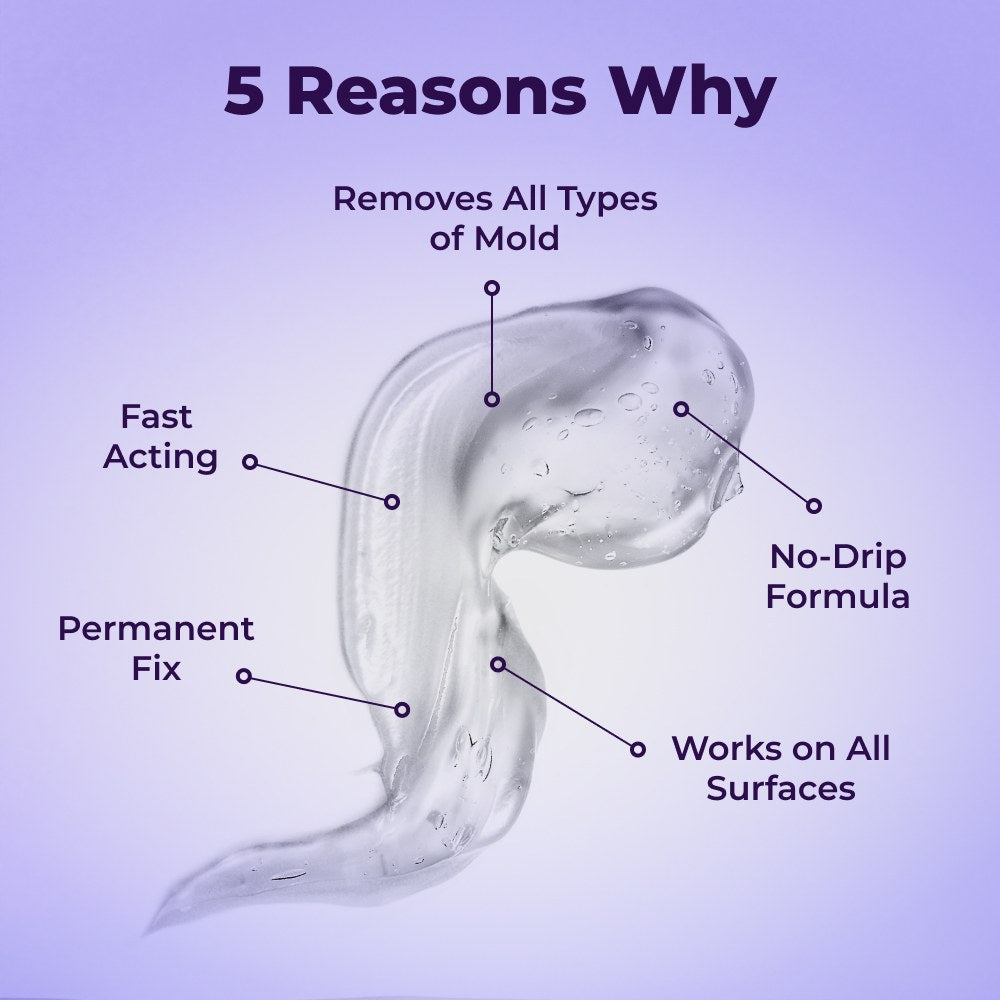 Mold Remover Gel | No-Scrub Cleaner for Bathroom Tile Grout, Kitchen Sinks, Window Frames & Washing Machine Seals