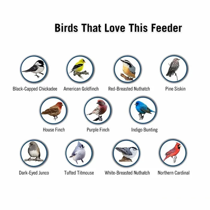 Squirrel Proof Bird Feeder | Weight-Activated Spinning Perch & Durable Metal Design for Backyard Birdwatching