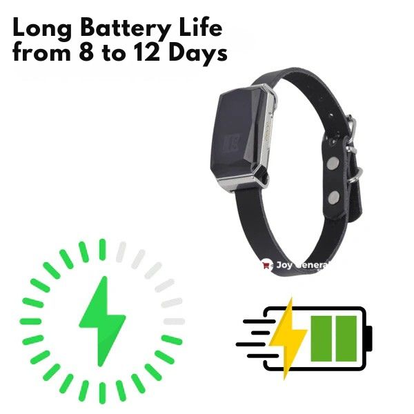GPS Dog Collar | Waterproof, Adjustable & Unlimited Range for Real-Time Tracking