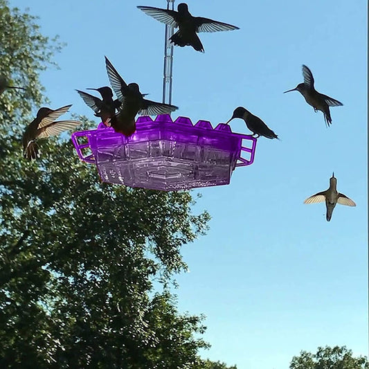 Ant Proof Hummingbird Feeder | 30 Feeding Ports, UV Resistant & Ideal for Outdoor Use