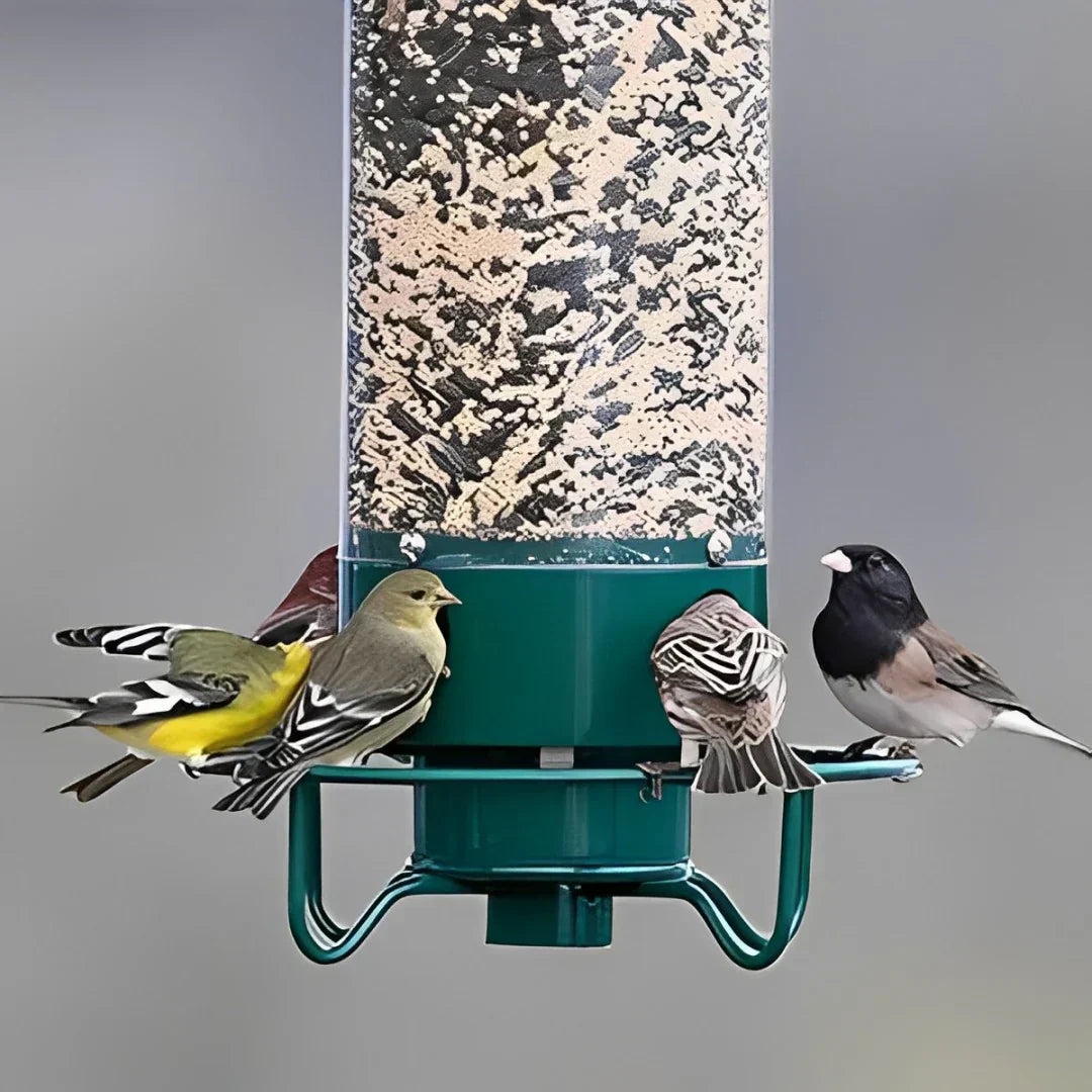 Squirrel Proof Bird Feeder | Weight-Activated Spinning Perch & Durable Metal Design for Backyard Birdwatching