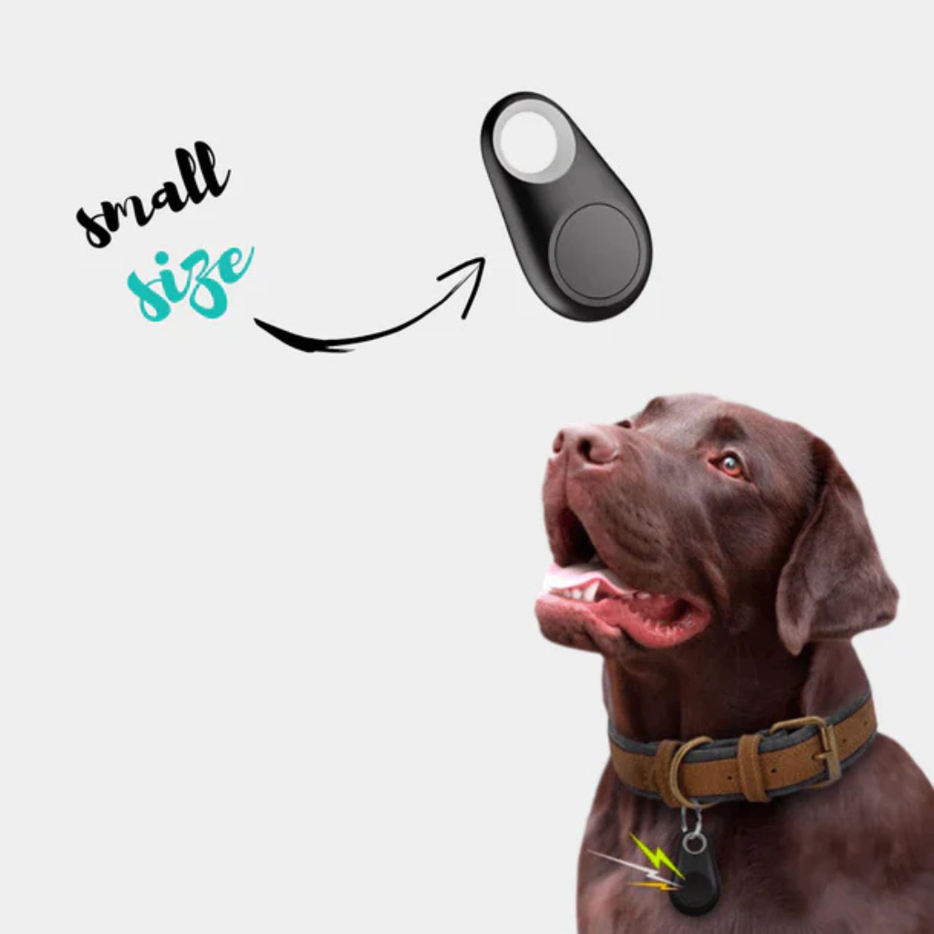 GPS Dog Tracker | Waterproof, Real-Time Location & Safety Zone Alerts for Outdoor Adventures