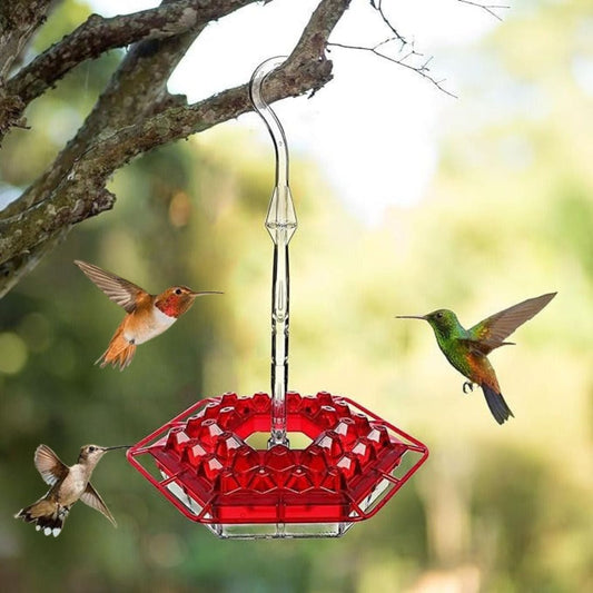 Ant Proof Hummingbird Feeder | UV-Resistant, Leak-Proof Design & 30 Feeding Ports for Outdoor Gardens
