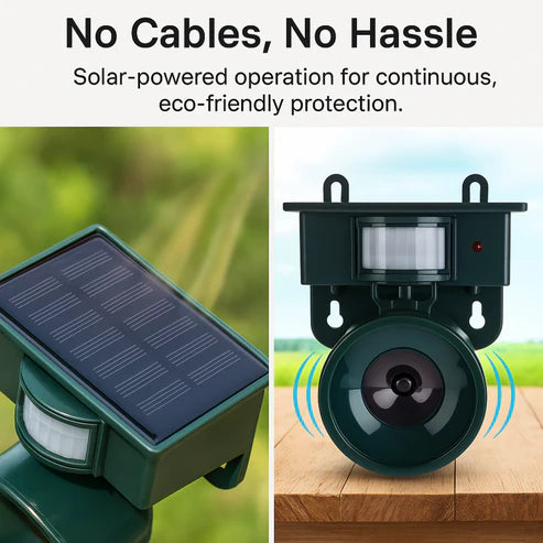 Motion Sensor Bird Deterrent - Pigeon & Crow Repeller with Sound Scare Technology for Effective Bird Control