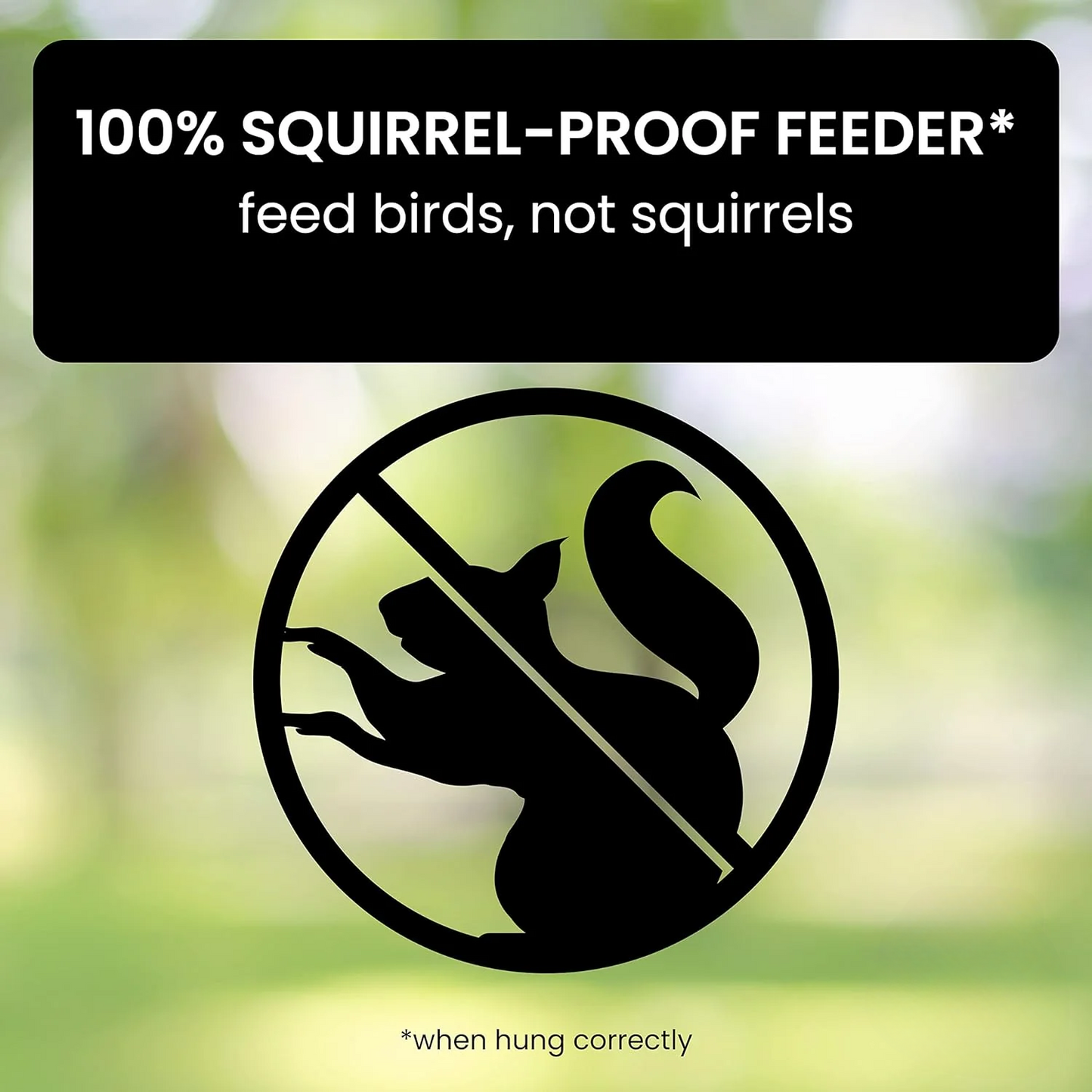 Squirrel Proof Bird Feeder | Weight-Activated Spinning Perch & Durable Metal Design for Backyard Birdwatching