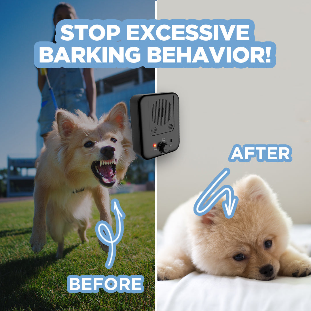 Pain-Free Anti-Barking Device for Dogs - Ultrasonic Bark Control Trainer with Adjustable Sensitivity