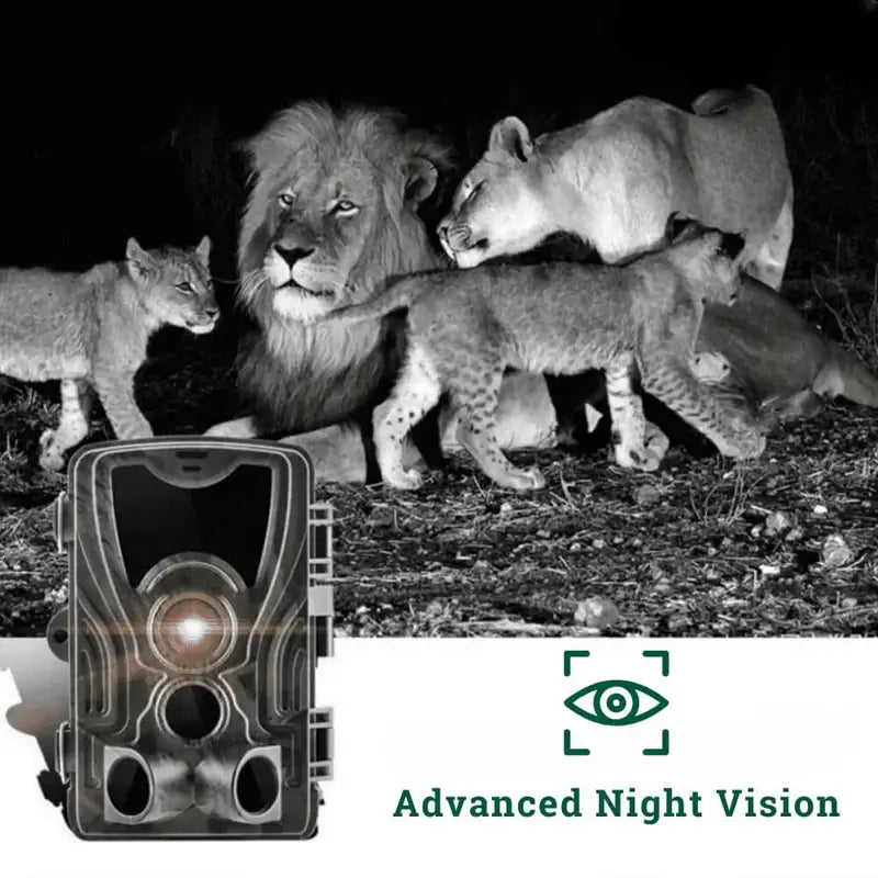 Wildlife Night Vision Binoculars with Infrared Technology for Outdoor Observation & Hunting