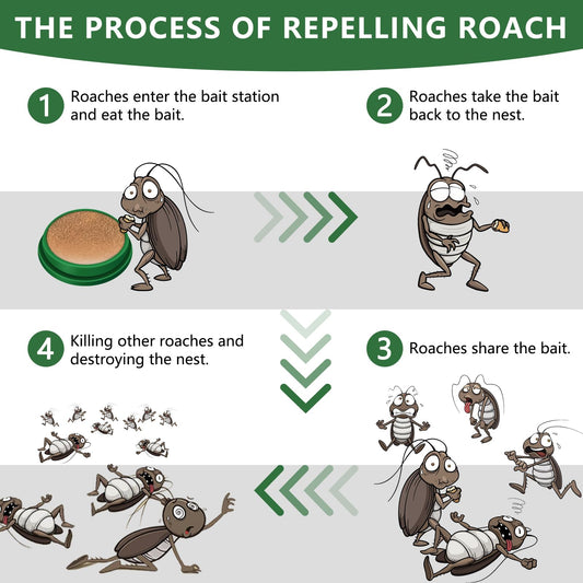 Odorless Cockroach Traps | Slow-Acting, Hands-Free Gel Bait for Hygienic Pest Control in Kitchens & Living Spaces