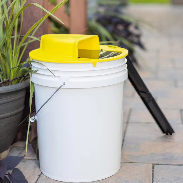 Humane Mouse Trap Cover | Reusable, Easy-Clean Design for Effective Rodent Control in Homes & Businesses