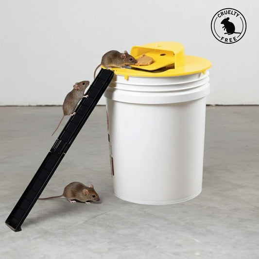 Humane Mouse Trap Cover | Reusable, Easy-Clean Design for Effective Rodent Control in Homes & Businesses