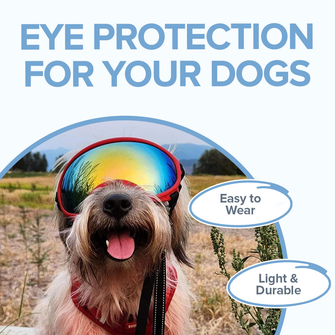 Dog Goggles for Eye Protection - UV Protection Sunglasses for Dogs - Adjustable Fit for Outdoor Activities & Water Sports