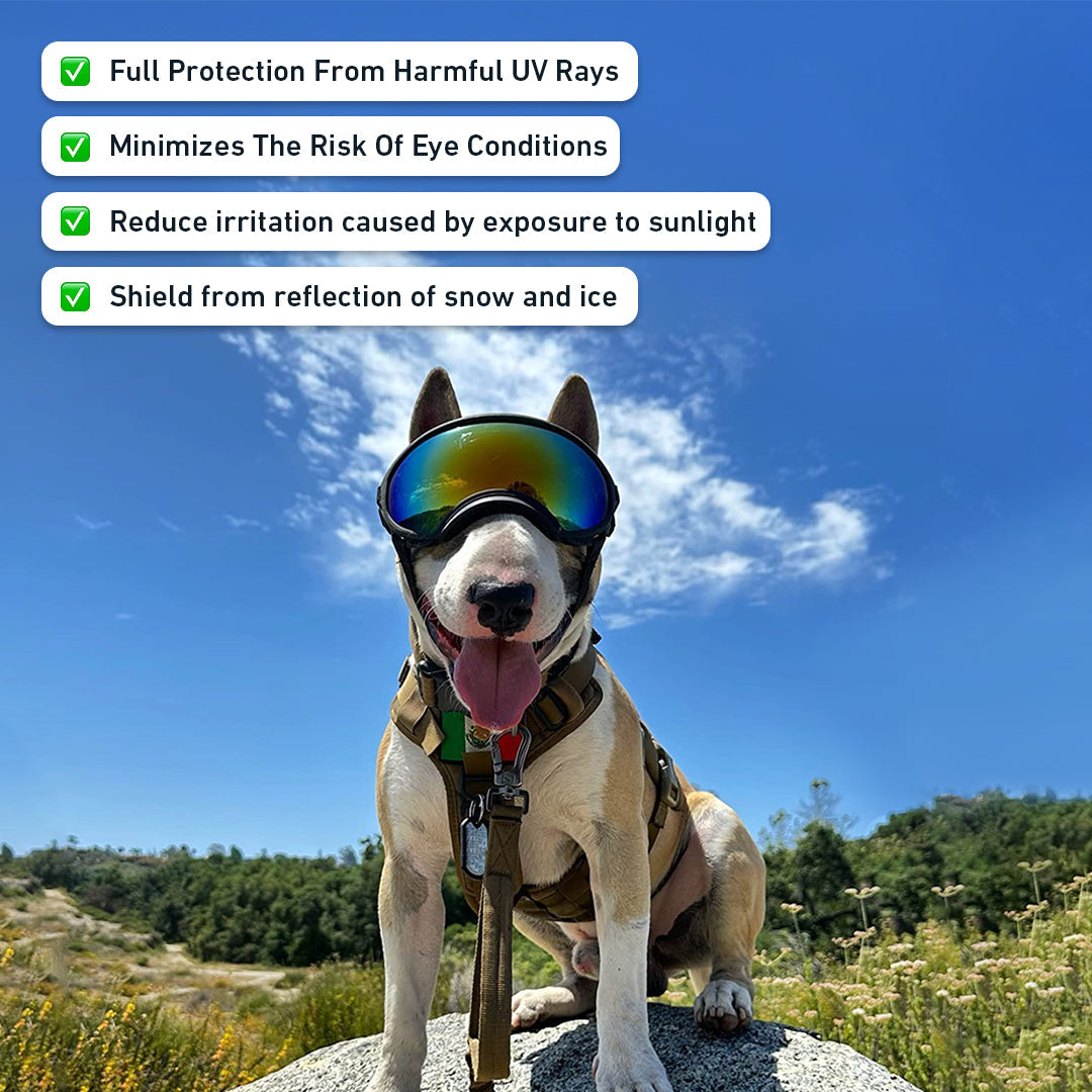Dog Goggles for Eye Protection - UV Protection Sunglasses for Dogs - Adjustable Fit for Outdoor Activities & Water Sports