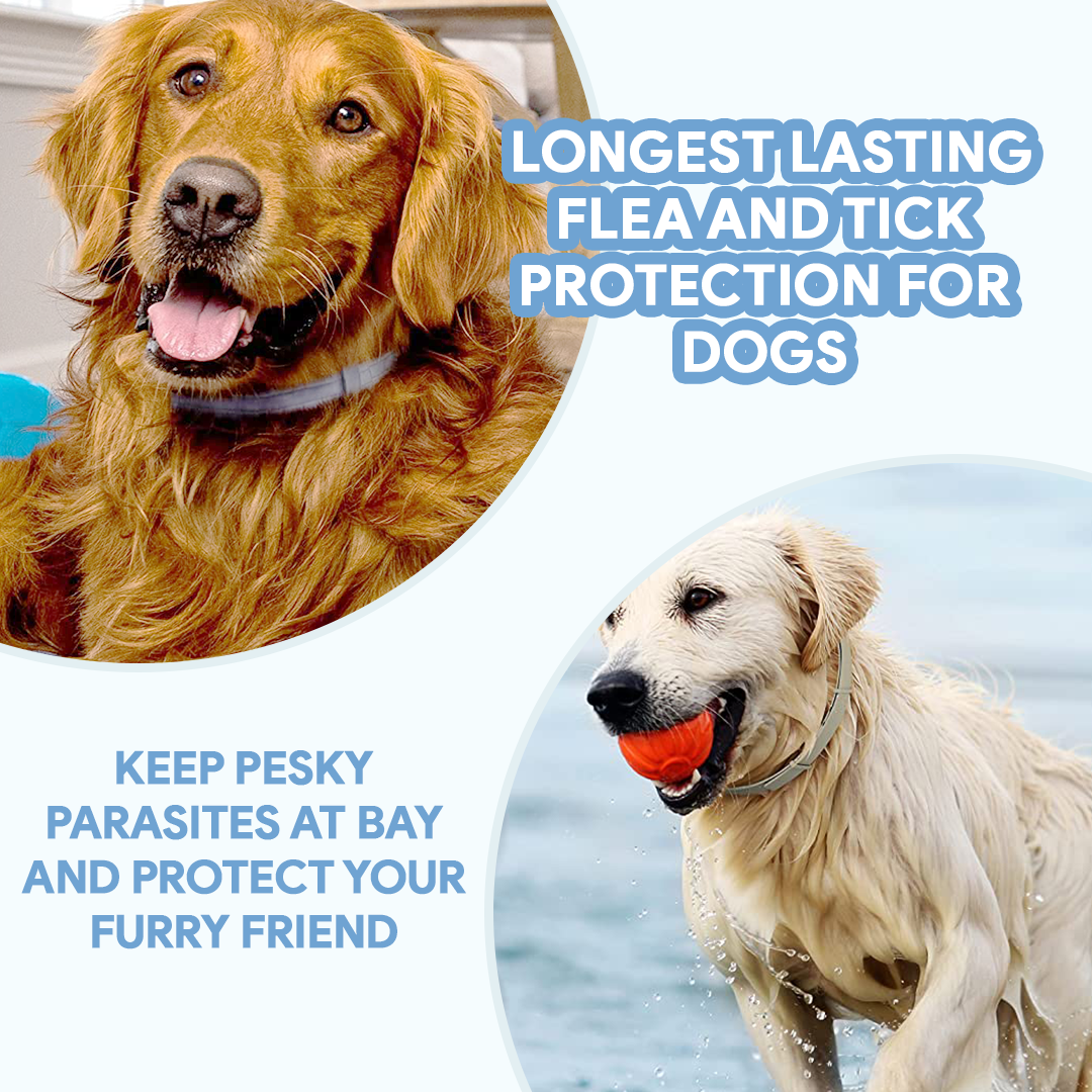 Anti-Tick Collar for Dogs & Cats - 8-Month Flea and Tick Repellent Treatment for Dogs and Cats