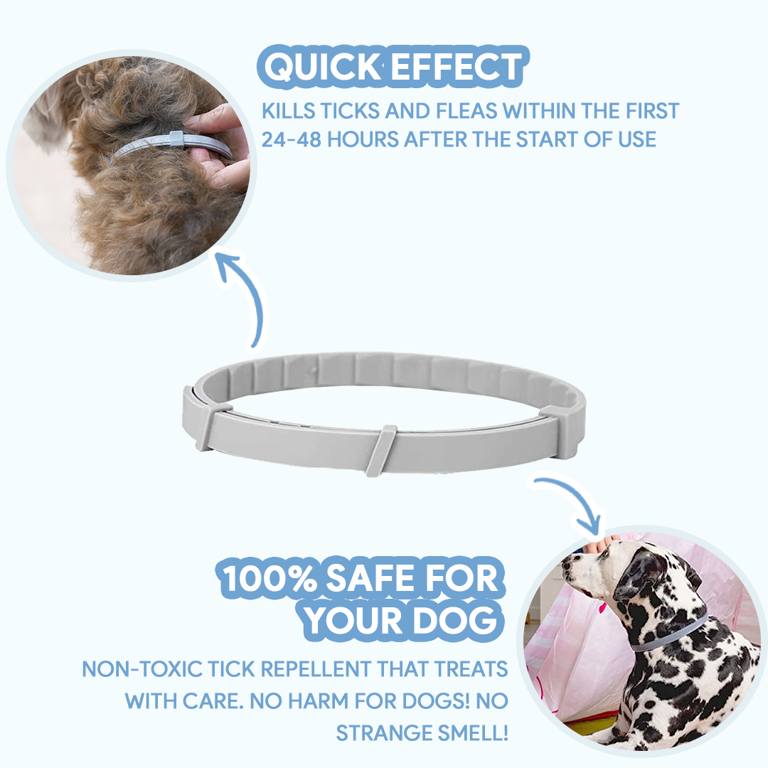 Anti-Tick Collar for Dogs & Cats - 8-Month Flea and Tick Repellent Treatment for Dogs and Cats