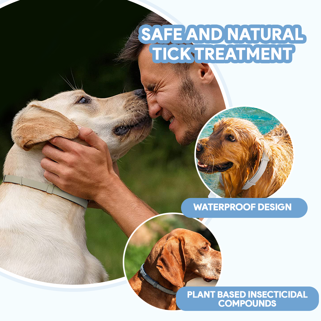 Anti-Tick Collar for Dogs & Cats - 8-Month Flea and Tick Repellent Treatment for Dogs and Cats