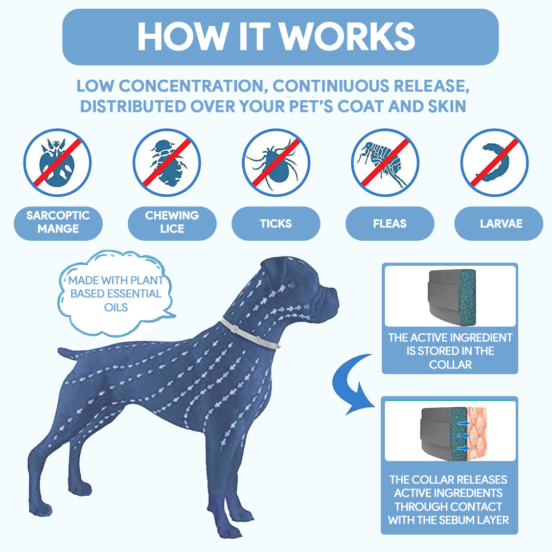 Anti-Tick Collar for Dogs & Cats - 8-Month Flea and Tick Repellent Treatment for Dogs and Cats