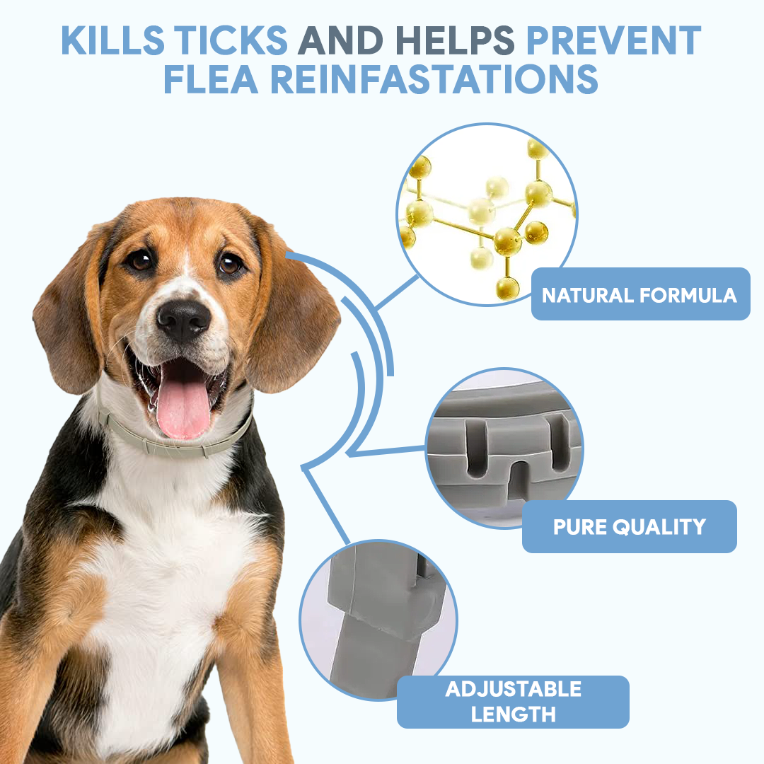 Anti-Tick Collar for Dogs & Cats - 8-Month Flea and Tick Repellent Treatment for Dogs and Cats