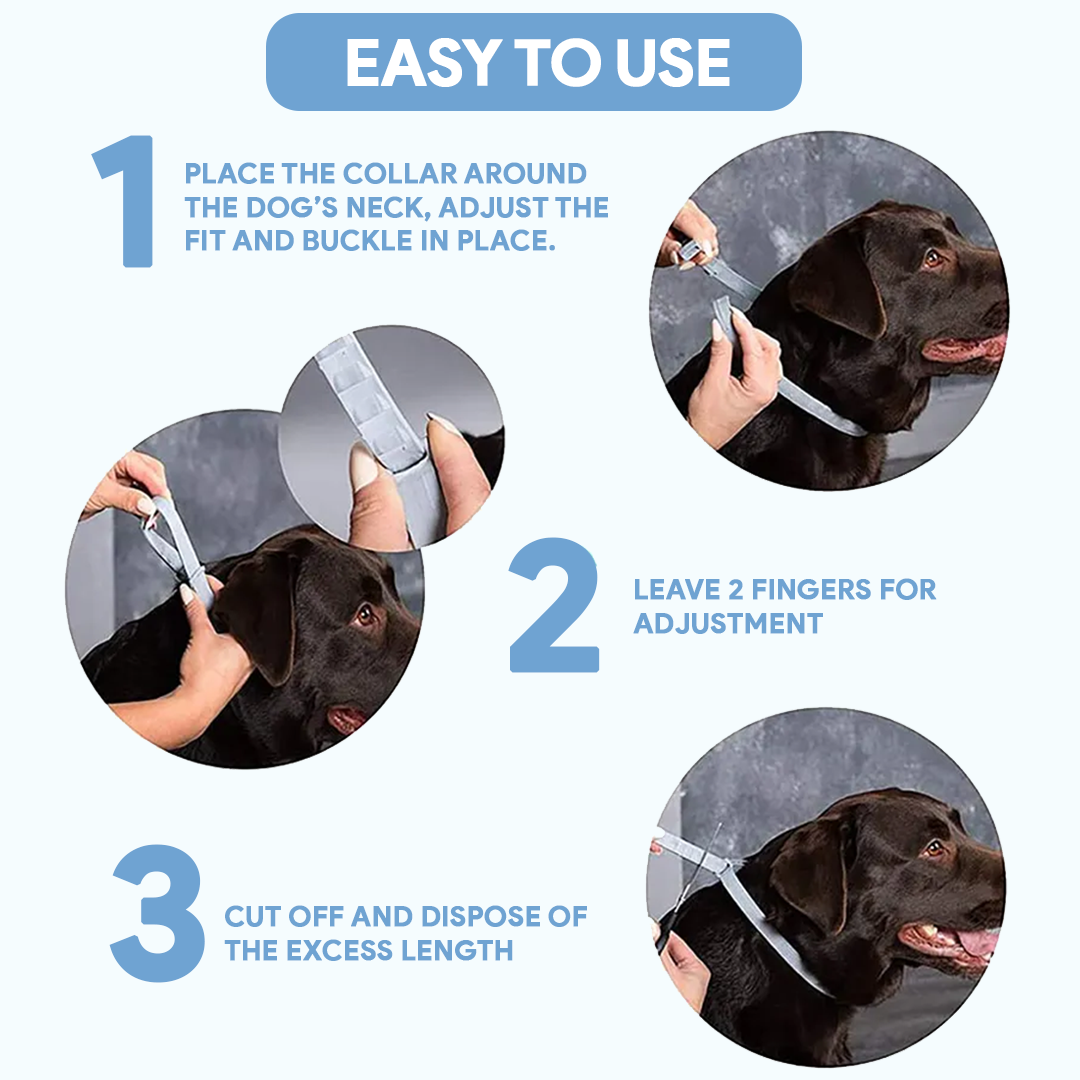 Anti-Tick Collar for Dogs & Cats - 8-Month Flea and Tick Repellent Treatment for Dogs and Cats