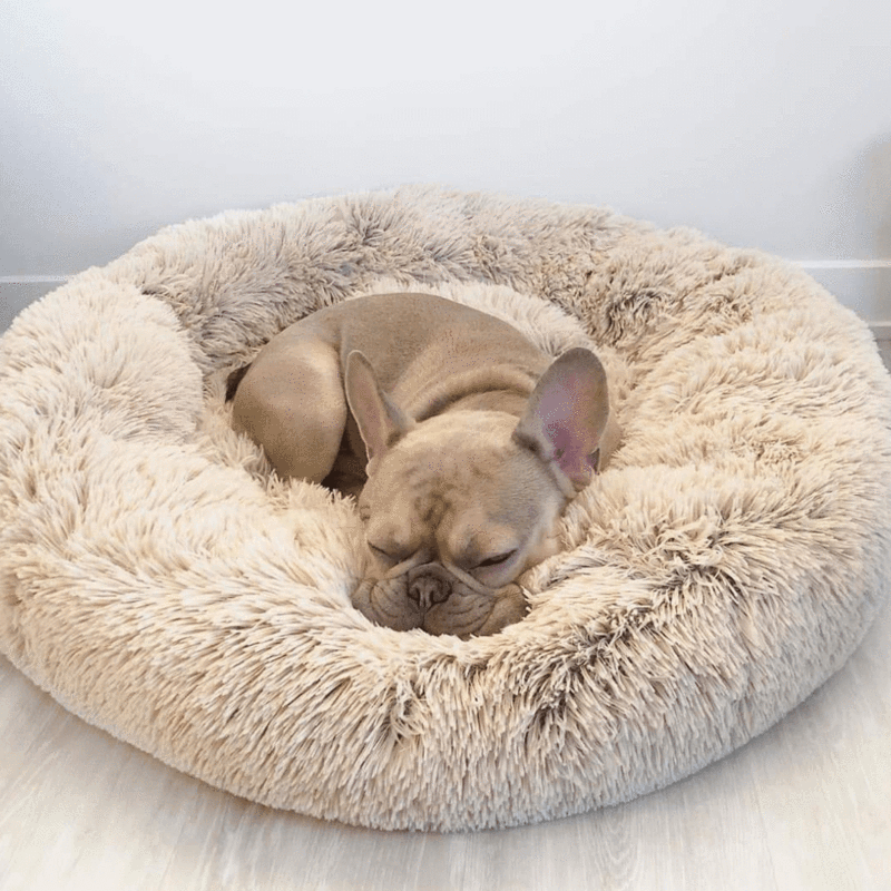 Calming Cloud Dog Bed - Orthopedic Pet Bed with Memory Foam for Comfortable Sleep & Joint Support for Dogs and Cats