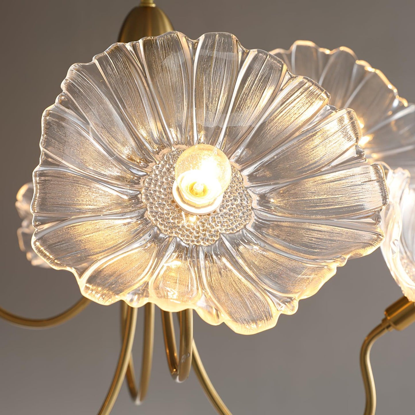 Lotus Leaf Glass Chandelier | Frosted Glass, Gold Finish & Ideal for Indoor Lighting