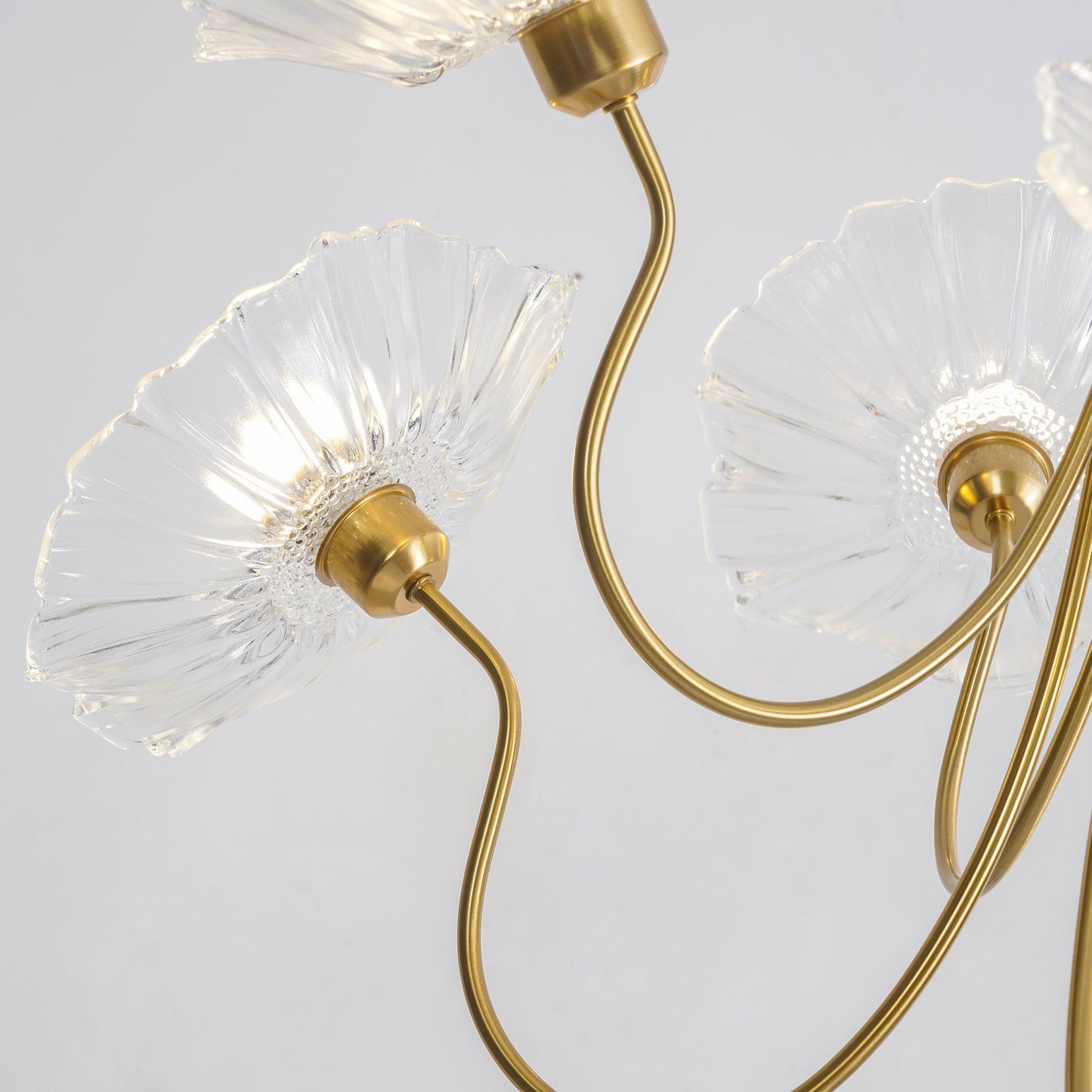 Lotus Leaf Glass Chandelier | Frosted Glass, Gold Finish & Ideal for Indoor Lighting