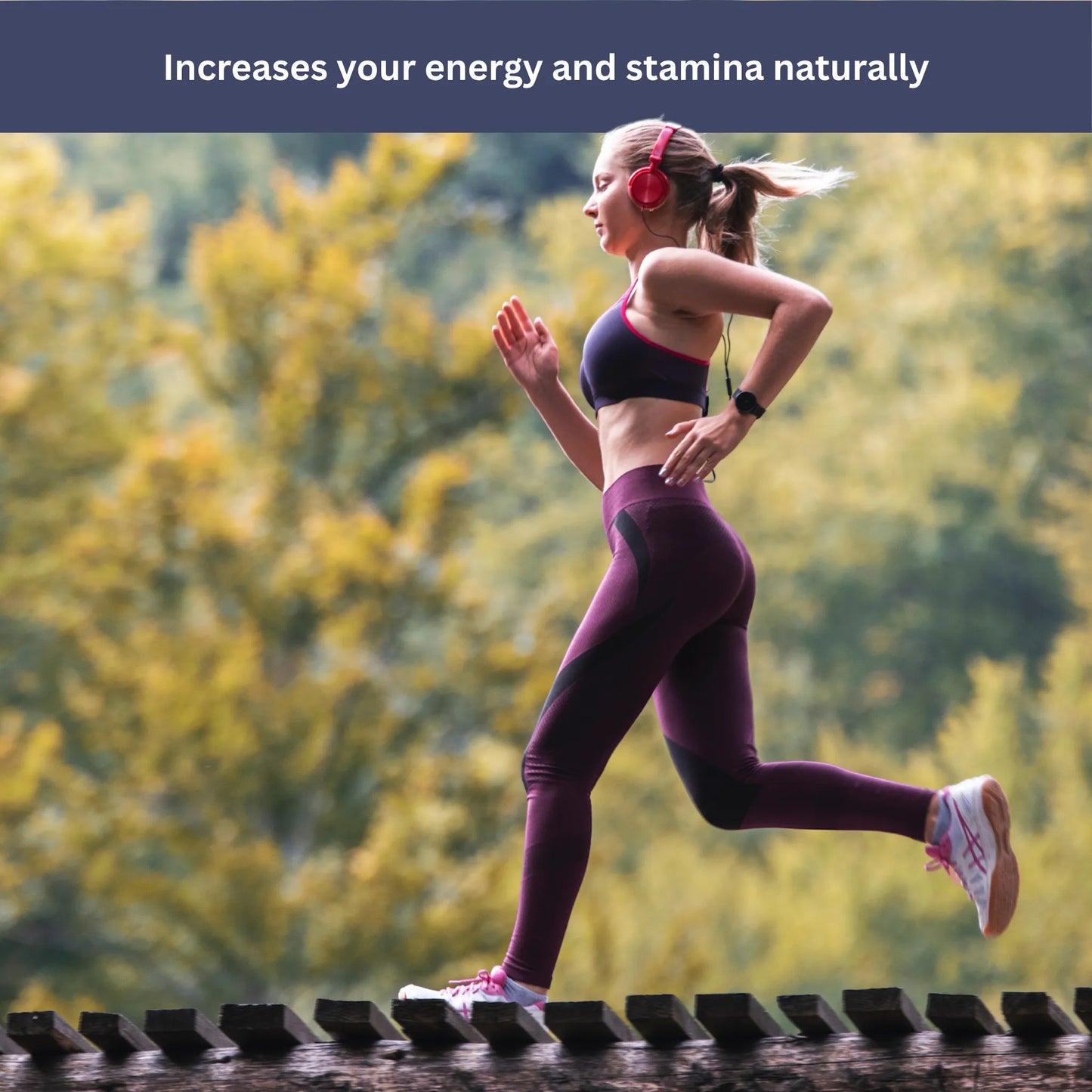 Shilajit Resin | Natural Energy Booster, Rich in Minerals & Ideal for Health Enthusiasts