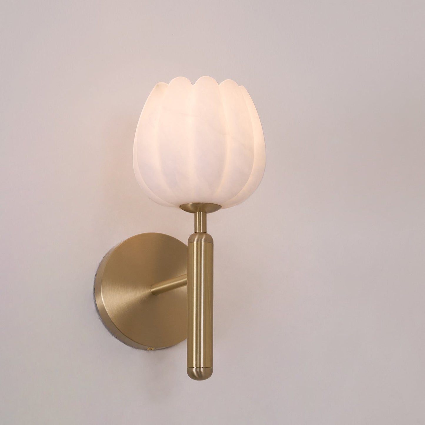 LED Wall Lamp - Modern Adjustable Fixture for Living Room, Bedroom & Hallway Lighting