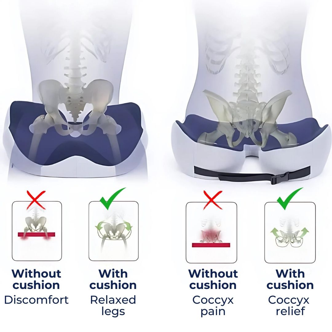 Memory Foam Seat Cushion | Adjustable Tailbone Relief & Posture Support for Office Chairs