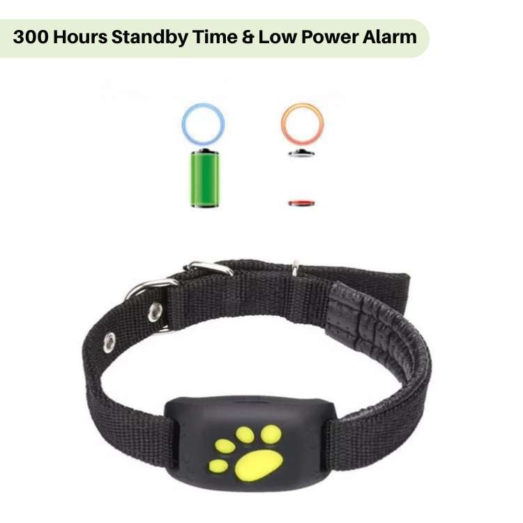 GPS Cat Tracker with Real-Time Location, Waterproof Design, and Long Battery Life for Pet Safety and Monitoring