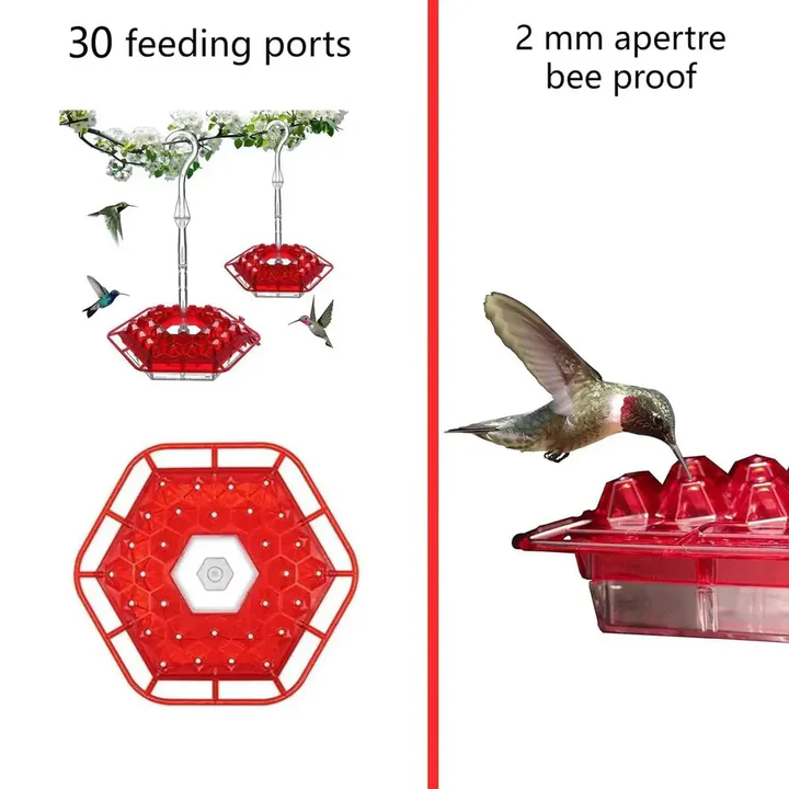 Ant Proof Hummingbird Feeder | UV-Resistant, Leak-Proof Design & 30 Feeding Ports for Outdoor Gardens