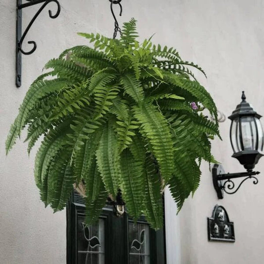 UV-Resistant Lifelike Artificial Boston Fern | Realistic Faux Plant for Indoor & Outdoor Decor, No Maintenance Required