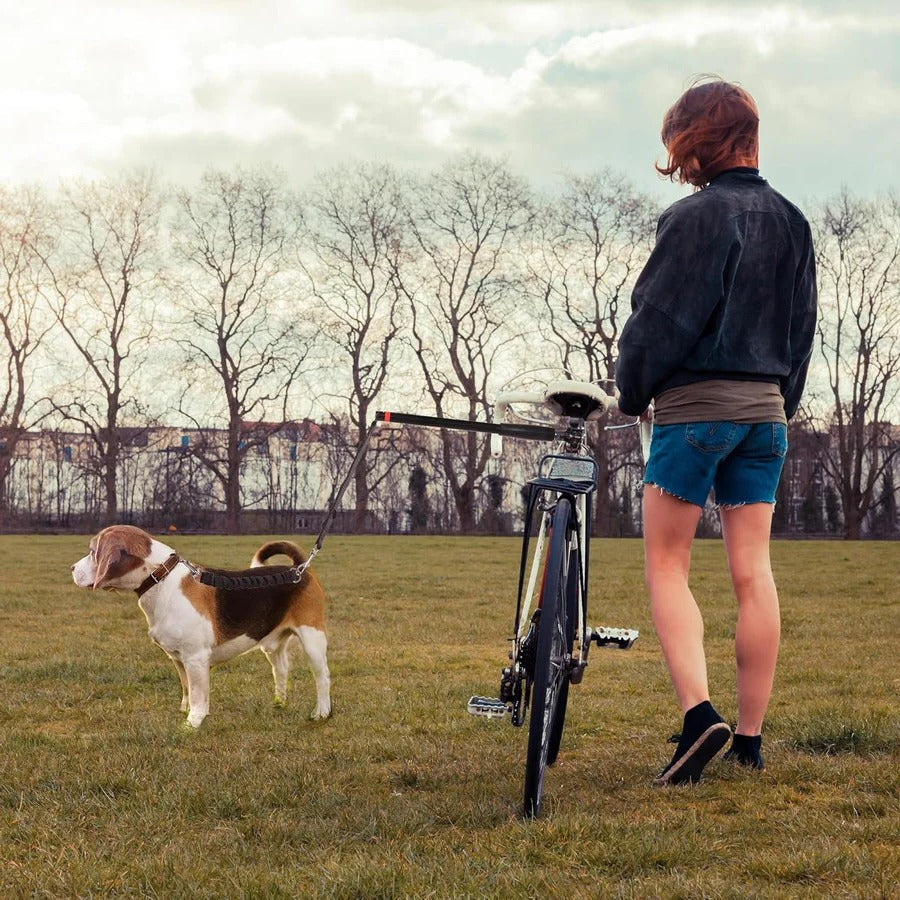 Bike Dog Tow Leash | Hands-Free, Quick Release & Safe for Medium to Large Dogs While Biking