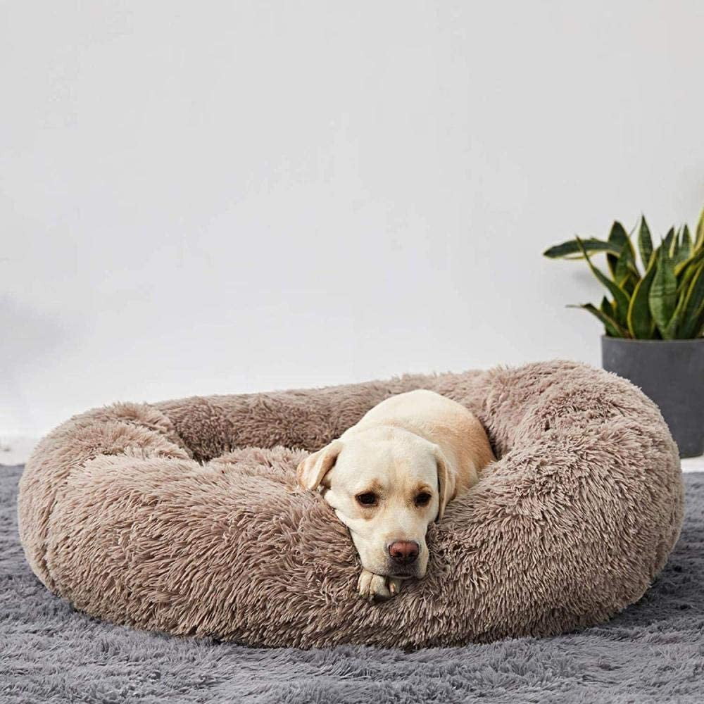 Calming Cloud Dog Bed - Orthopedic Pet Bed with Memory Foam for Comfortable Sleep & Joint Support for Dogs and Cats