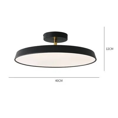 Adjustable LED Ceiling Lamp with Modern Design for Living Room & Home Office Lighting