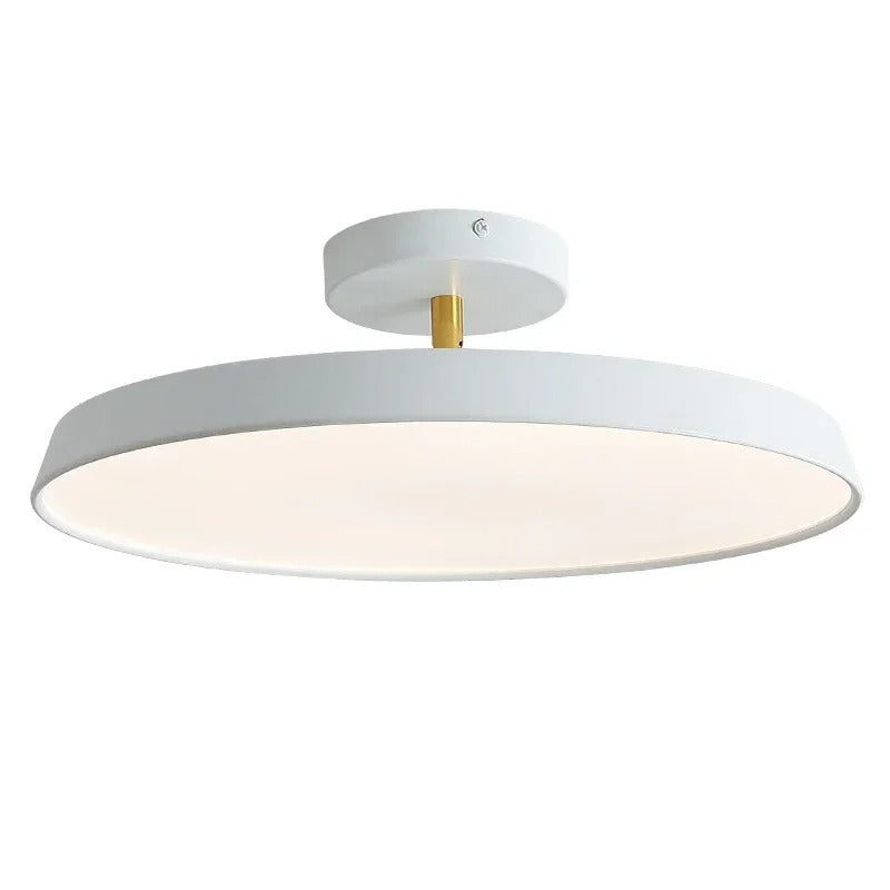 Adjustable LED Ceiling Lamp with Modern Design for Living Room & Home Office Lighting