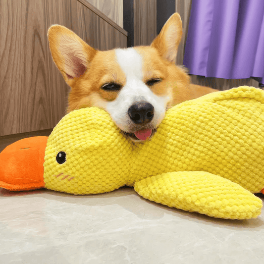 Durable Duck Dog Toy | Calming, Chew-Resistant & Ideal for Mental Stimulation and Anxiety Relief for All Dog Sizes