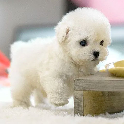 Realistic Interactive Toy Robot Puppy with Smart Features for Kids and Pet Lovers