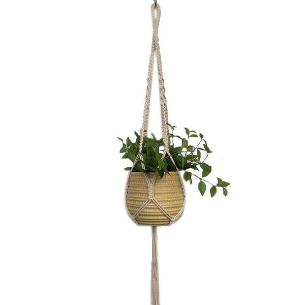 Hanging Basket Plants - Hanging Basket Flowers - Hanging Pots