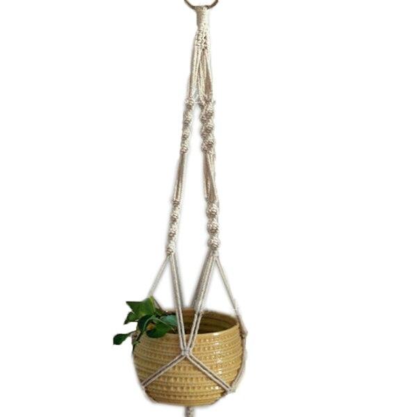 Hanging Basket Plants - Hanging Basket Flowers - Hanging Pots