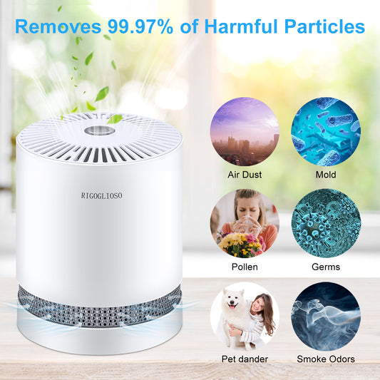 Bio Air Purifier with Hepa Filter For Allergens Viruses Dust Pollution & Smoke