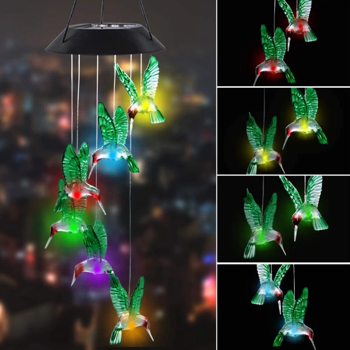butterfly-lights