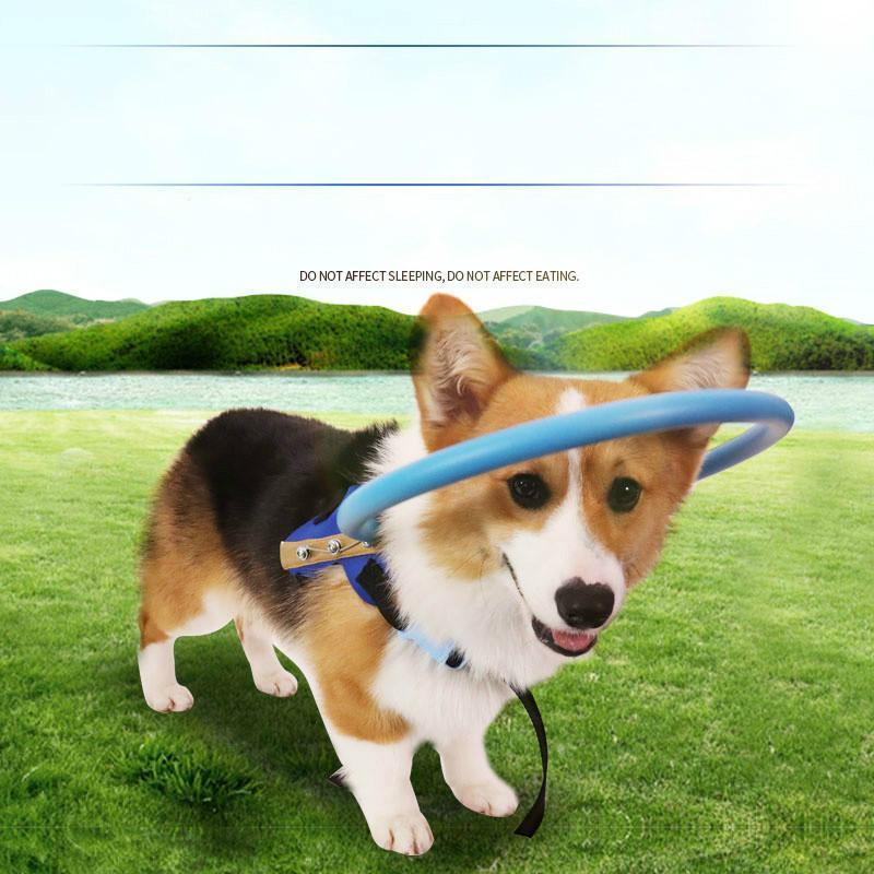 Bumper Collar Guide For Blind Dogs Harness - Balma Home