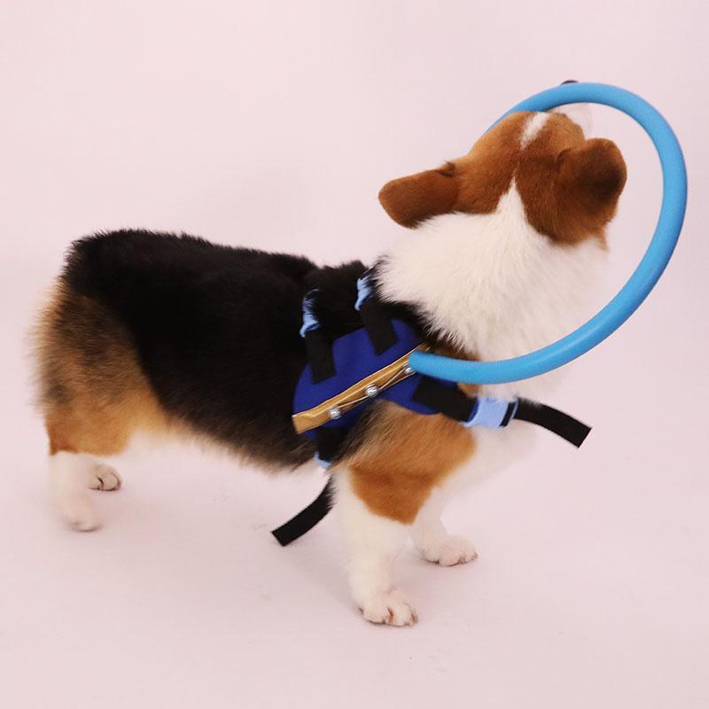 Bumper Collar Guide For Blind Dogs Harness - Balma Home