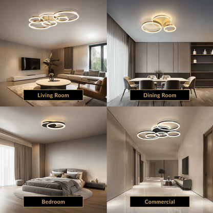 Chic Eelegant Modern Ceiling Light | Gold or Black Finish, 2-6 Circle Ceiling light for Home Decor | House lights indoor