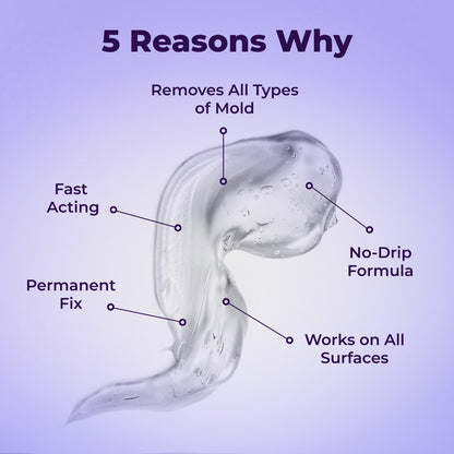 Mold Remover Gel | No-Scrub Cleaner for Bathroom Tile Grout, Kitchen Sinks, Window Frames & Washing Machine Seals