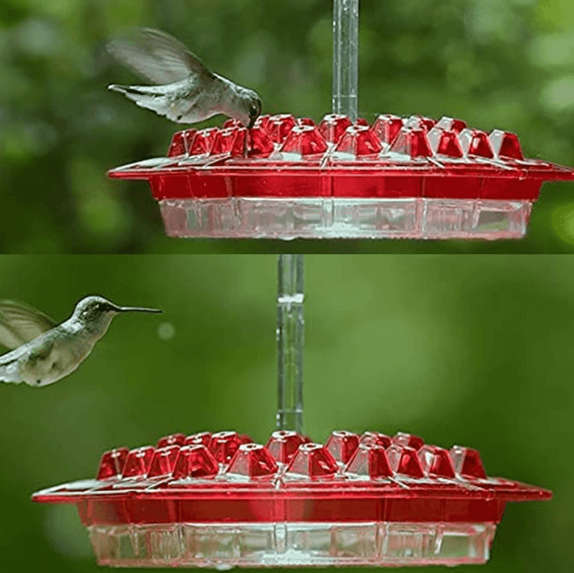 Ant Proof Hummingbird Feeder | 30 Feeding Ports, UV Resistant & Ideal for Outdoor Use