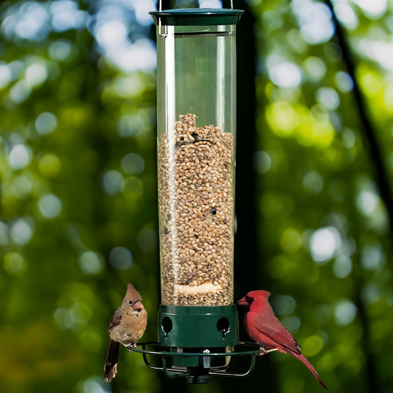 Squirrel Proof Bird Feeder | Weight-Activated Spinning Perch & Durable Metal Design for Backyard Birdwatching