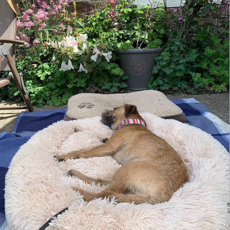 Calming Cooling Dog Bed | Orthopedic Memory Foam, Waterproof & Ideal for All Sizes and Outdoor Use