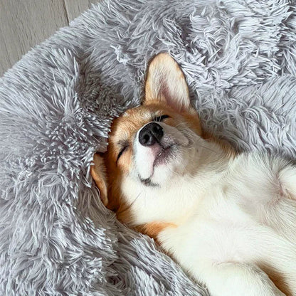 Calming Cooling Dog Bed | Orthopedic Memory Foam, Waterproof & Ideal for All Sizes and Outdoor Use