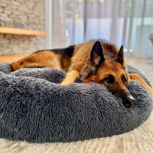 Calming Cooling Dog Bed | Orthopedic Memory Foam, Waterproof & Ideal for All Sizes and Outdoor Use